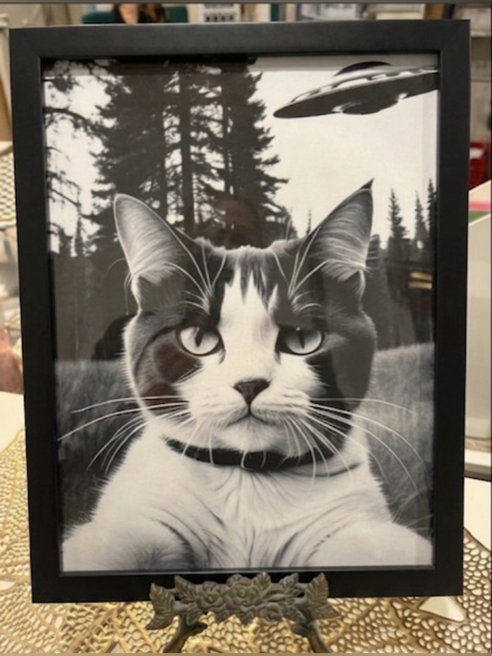 Framed Black & White Cat UFO Portrait Wall Art - Cat